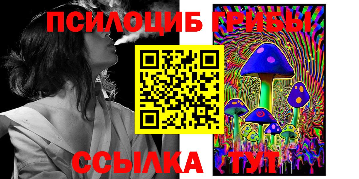 Псилоцибиновые грибы Magic Shrooms  Вход с VPN  где найти   Нерюнгри 
